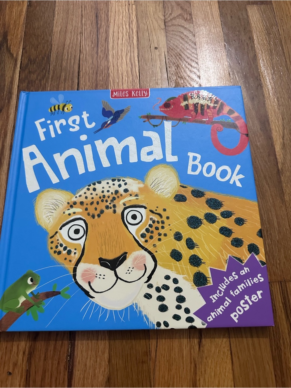 First Animal Book - Blue
